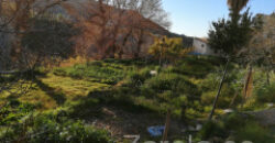 ZUJAR – Complejo de Vivienda Rural en Venta