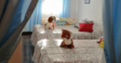 ZUJAR – Complejo de Vivienda Rural en Venta