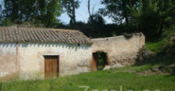 ZUJAR – Finca Agrícola en Venta con Molino, Vivienda y Piscina