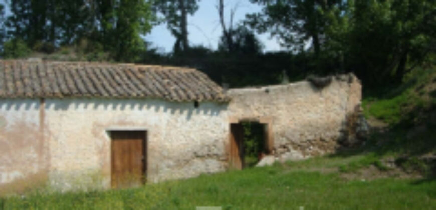 ZUJAR – Finca Agrícola en Venta con Molino, Vivienda y Piscina