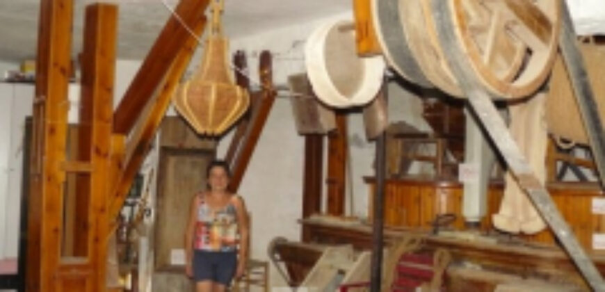 ZUJAR – Finca Agrícola en Venta con Molino, Vivienda y Piscina