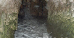 ZUJAR – Finca Agrícola en Venta con Molino, Vivienda y Piscina