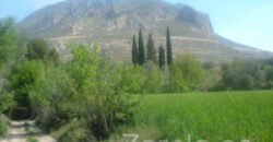 ZUJAR – Finca Agrícola en Venta con Molino, Vivienda y Piscina