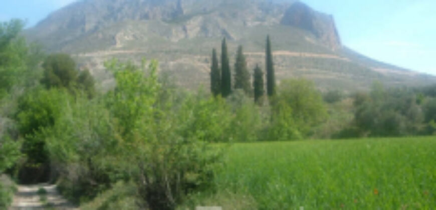 ZUJAR – Finca Agrícola en Venta con Molino, Vivienda y Piscina