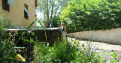 ZUJAR – Finca Agrícola en Venta con Molino, Vivienda y Piscina