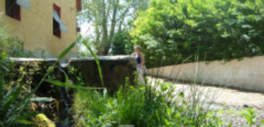 ZUJAR – Finca Agrícola en Venta con Molino, Vivienda y Piscina