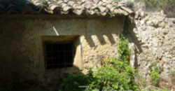 ZUJAR – Finca Agrícola en Venta con Molino, Vivienda y Piscina