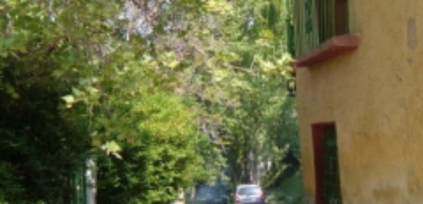 ZUJAR – Finca Agrícola en Venta con Molino, Vivienda y Piscina