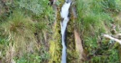 ZUJAR – Finca Agrícola en Venta con Molino, Vivienda y Piscina