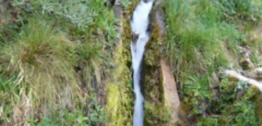 ZUJAR – Finca Agrícola en Venta con Molino, Vivienda y Piscina