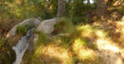 ZUJAR – Finca Agrícola en Venta con Molino, Vivienda y Piscina