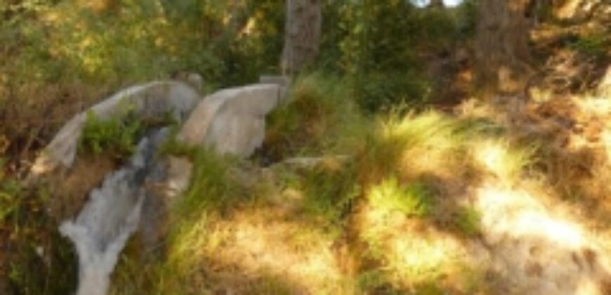 ZUJAR – Finca Agrícola en Venta con Molino, Vivienda y Piscina