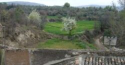 ZUJAR – Finca Agrícola en Venta con Molino, Vivienda y Piscina