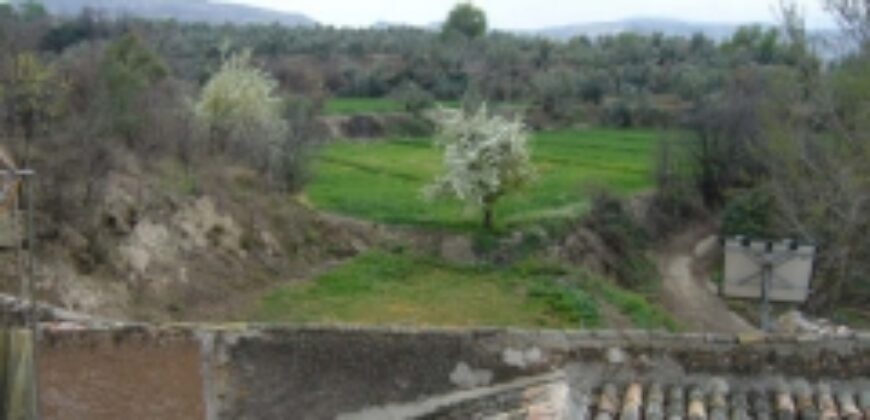 ZUJAR – Finca Agrícola en Venta con Molino, Vivienda y Piscina