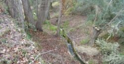 ZUJAR – Finca Agrícola en Venta con Molino, Vivienda y Piscina