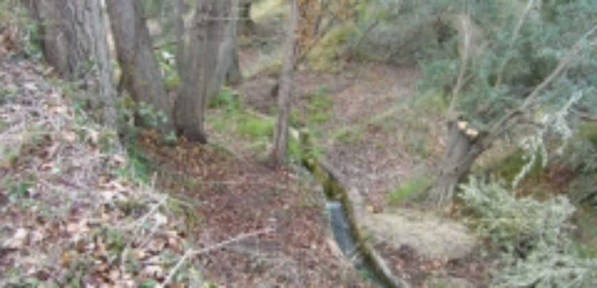 ZUJAR – Finca Agrícola en Venta con Molino, Vivienda y Piscina