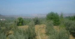 ZUJAR – Finca Agrícola en Venta con Molino, Vivienda y Piscina