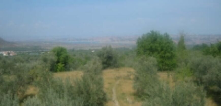 ZUJAR – Finca Agrícola en Venta con Molino, Vivienda y Piscina