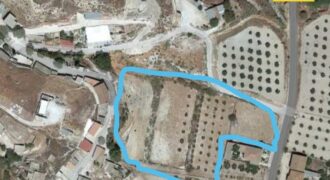CORTES DE BAZA – Finca Rustica-Urbana en Venta