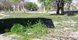 CUEVAS DEL CAMPO – Solar Urbano en Venta