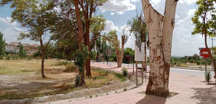 CUEVAS DEL CAMPO – Solar Urbano en Venta