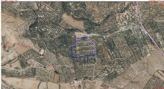 ZUJAR – Finca Agrícola en Venta, Olivar de Regadío