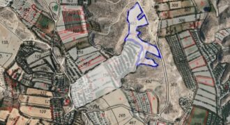 BENAMAUREL – Olivar de Regadío en Venta con Casa en Construcción