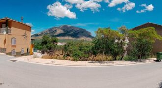 ZUJAR – Solar Urbano y Huerto de Regadío en Venta