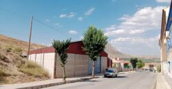 ZUJAR – Nave Industrial Conjunto Urbano en Venta