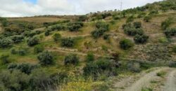 ALBONDON – Finca Rústica en Venta con cortijo para restaurar