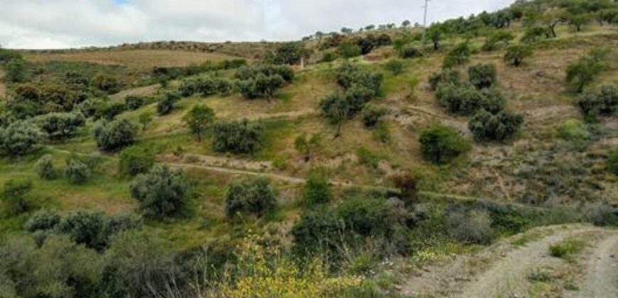 ALBONDON – Finca Rústica en Venta con cortijo para restaurar