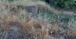 ALBONDON – Finca Rústica en Venta con cortijo para restaurar