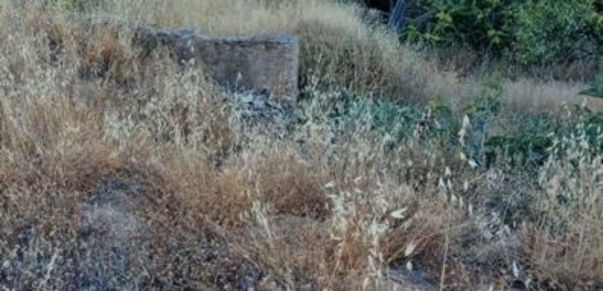 ALBONDON – Finca Rústica en Venta con cortijo para restaurar