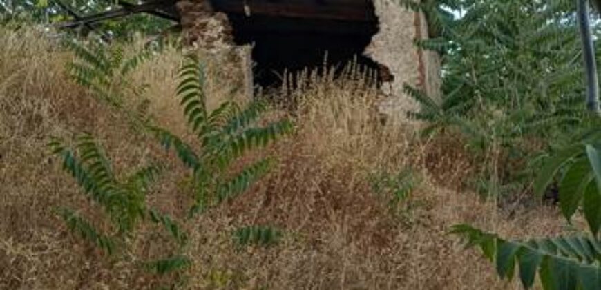ALBONDON – Finca Rústica en Venta con cortijo para restaurar