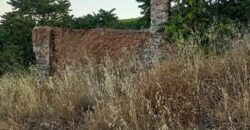 ALBONDON – Finca Rústica en Venta con cortijo para restaurar
