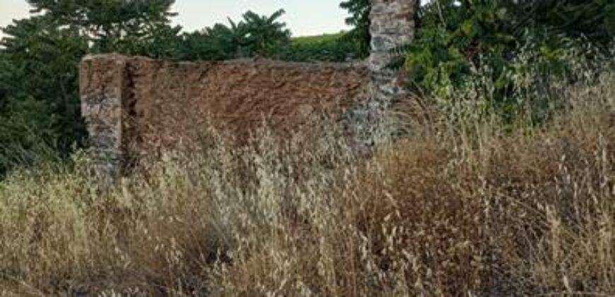 ALBONDON – Finca Rústica en Venta con cortijo para restaurar
