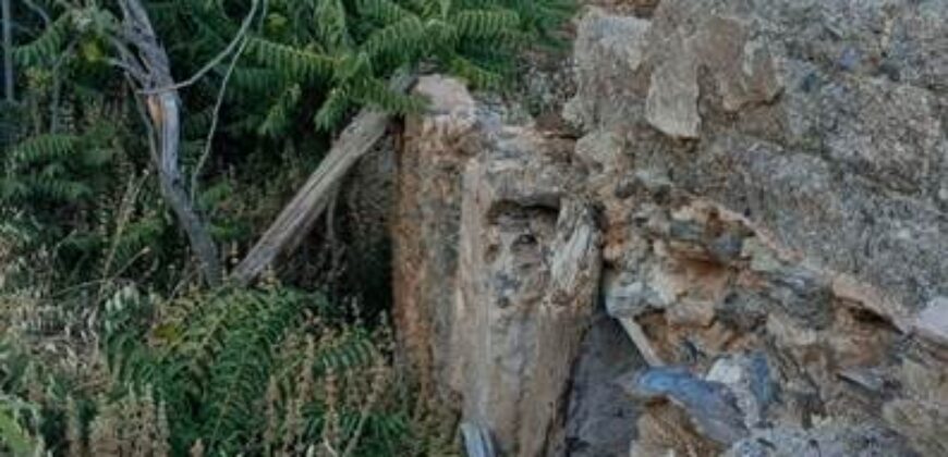ALBONDON – Finca Rústica en Venta con cortijo para restaurar