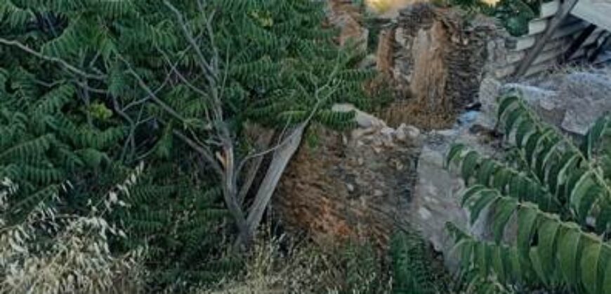 ALBONDON – Finca Rústica en Venta con cortijo para restaurar