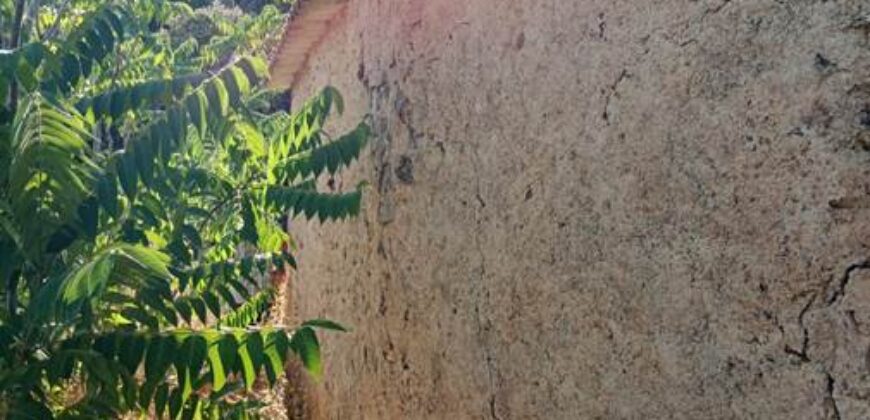 ALBONDON – Finca Rústica en Venta con cortijo para restaurar
