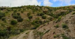 ALBONDON – Finca Rústica en Venta con cortijo para restaurar