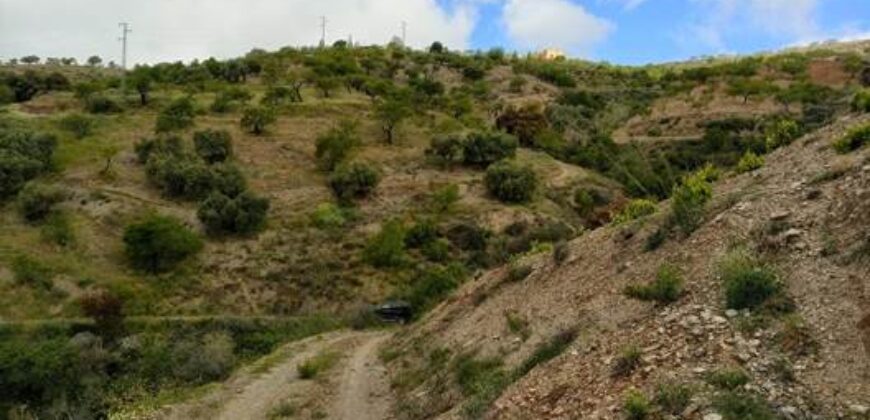 ALBONDON – Finca Rústica en Venta con cortijo para restaurar