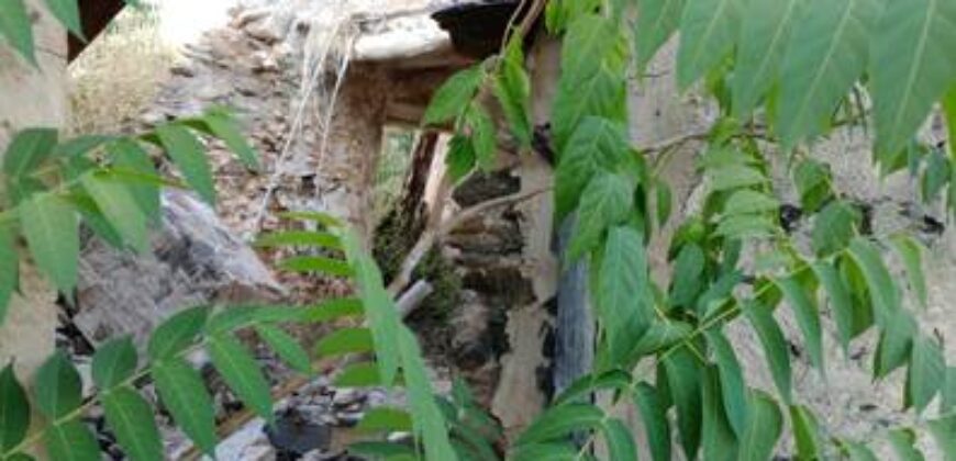 ALBONDON – Finca Rústica en Venta con cortijo para restaurar