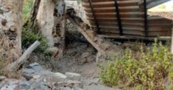 ALBONDON – Finca Rústica en Venta con cortijo para restaurar
