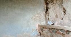 ALBONDON – Finca Rústica en Venta con cortijo para restaurar