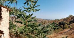 ALBONDON – Finca Rústica en Venta con cortijo para restaurar