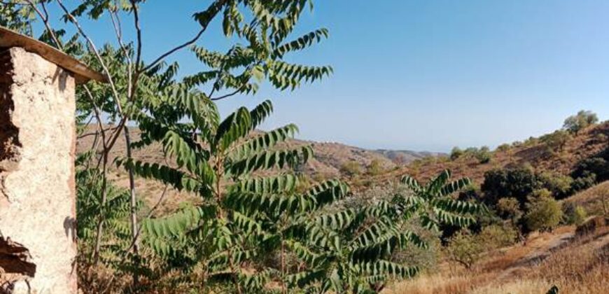 ALBONDON – Finca Rústica en Venta con cortijo para restaurar