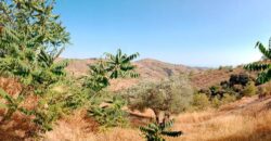 ALBONDON – Finca Rústica en Venta con cortijo para restaurar