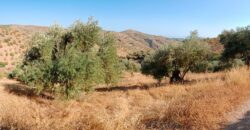 ALBONDON – Finca Rústica en Venta con cortijo para restaurar