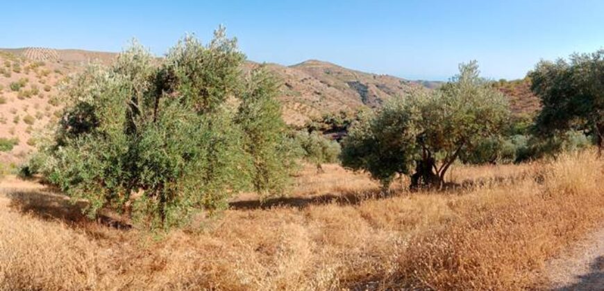 ALBONDON – Finca Rústica en Venta con cortijo para restaurar
