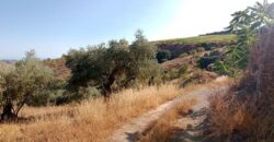 ALBONDON – Finca Rústica en Venta con cortijo para restaurar